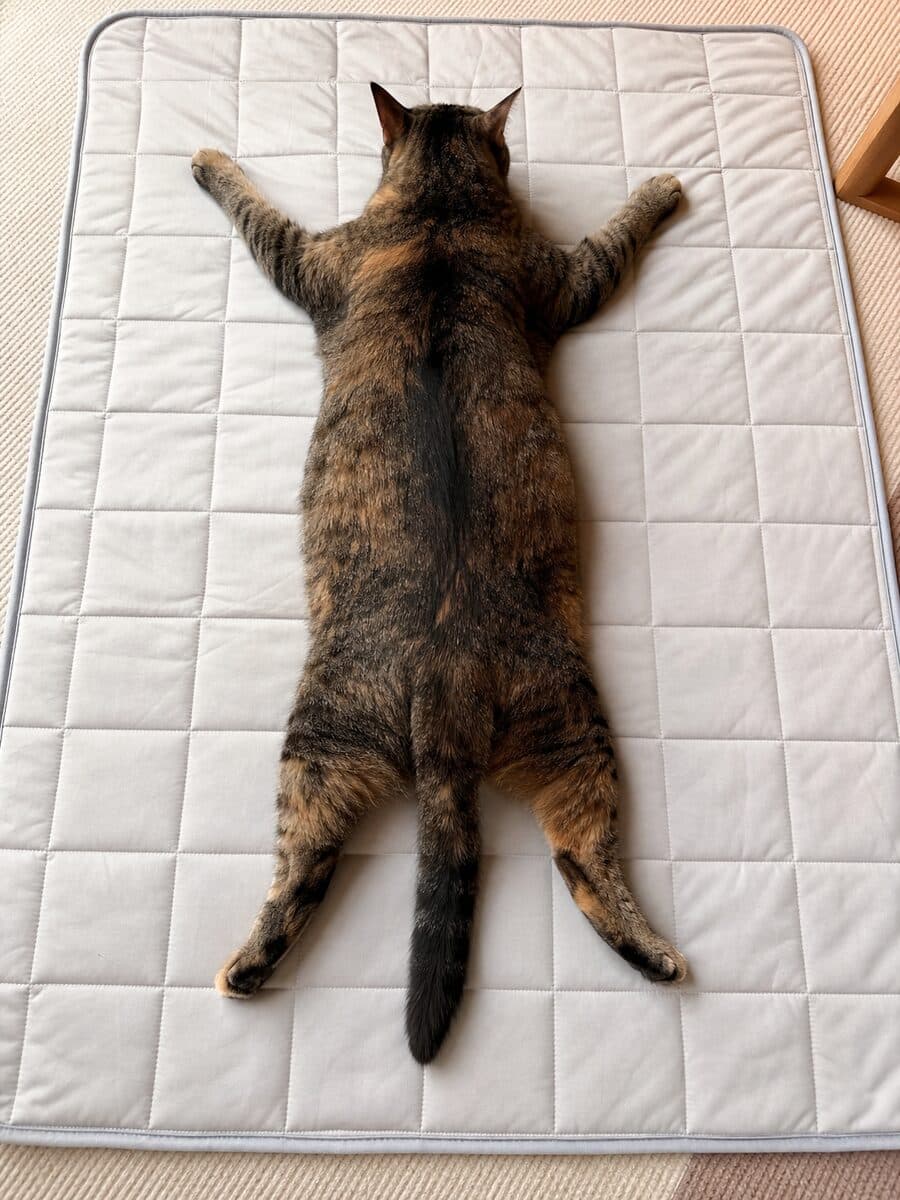 리뷰 사진