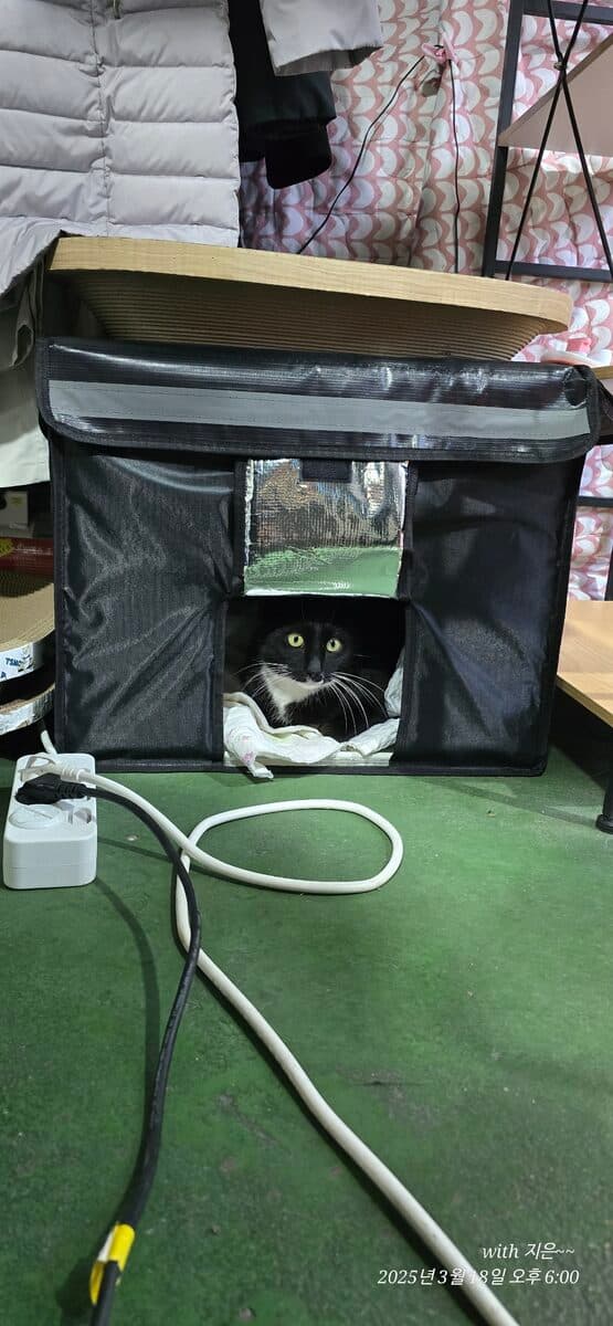 리뷰 사진
