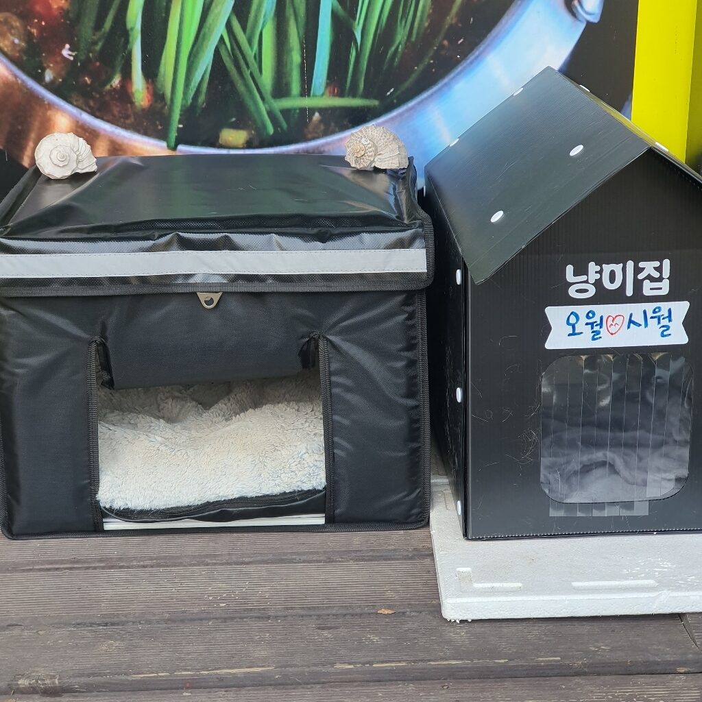 리뷰 사진